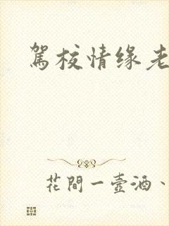 驾校情缘老赵
