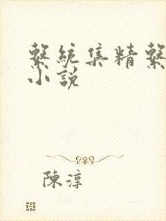 系统集精系统 小说