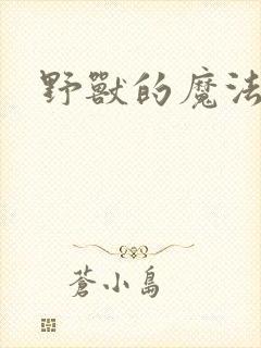 野兽的魔法师
