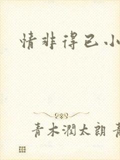 情非得已小说封面