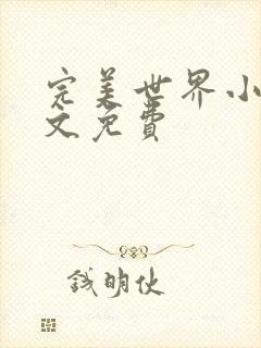 完美世界小说全文免费封面