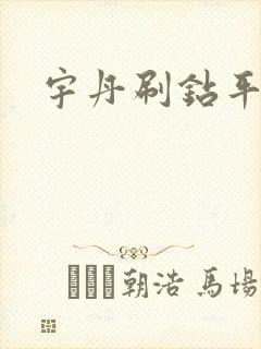 宇丹刷钻平台