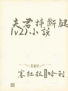 夫君摔断腿后(1v2)小说