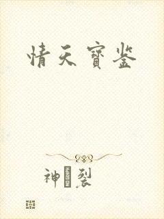 情天宝鉴