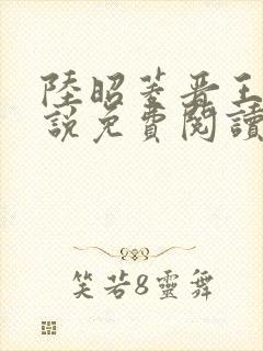 陆昭菱晋王的小说免费阅读封面