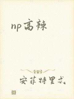 np高辣
