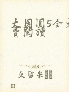 大团圆5全文免费阅读
