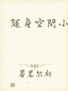 随身空间小说
