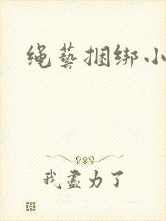 绳艺捆绑小说