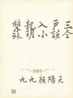 双龙入户三人行苏玥小说全文阅读
