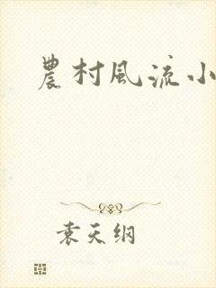 农村风流小说