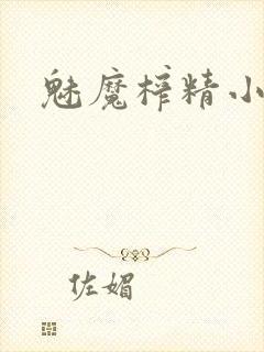魅魔榨精小说