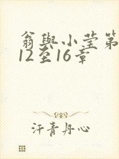 翁与小莹第十部12至16章