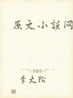原文小说网封面