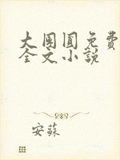 大团圆免费阅读全文小说封面
