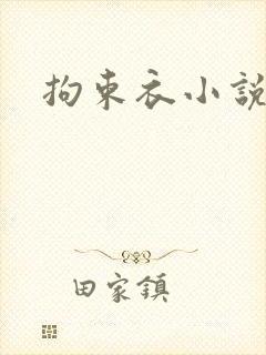 拘束衣小说封面