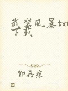 武装风暴txt下载