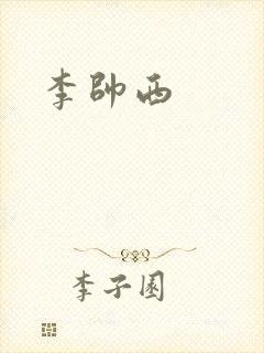 李帅西