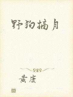 野狗摘月封面