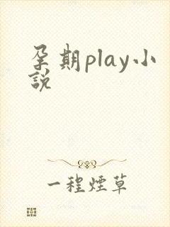 孕期play小说