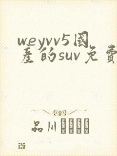 weyvv5国产的suv免费