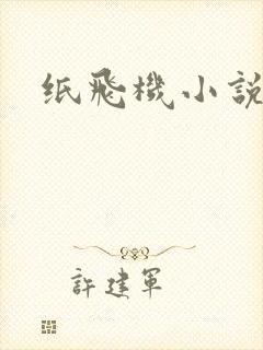 纸飞机小说封面