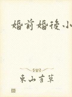 婚前婚后小说