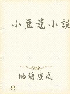 小豆蔻小说