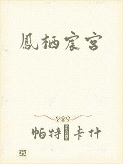 凤栖宸宫封面