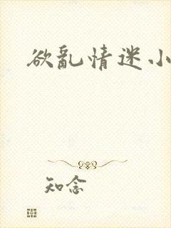 欲乱情迷小说