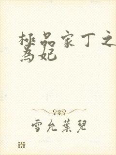 极品家丁之册母为妃
