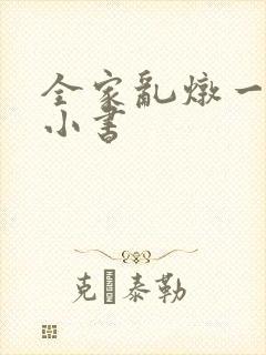 全家乱炖一锅烩小书