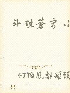 斗破苍穹 小说封面