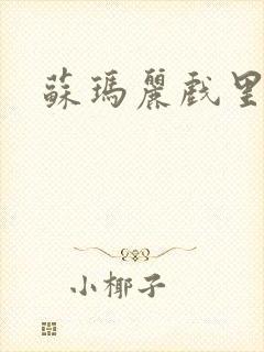 苏玛丽戏里戏外封面