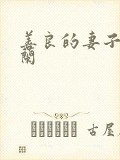 善良的妻子王晓兰