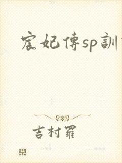 宸妃传sp训诫