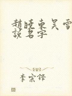 赵晓东吴雪晴小说名字封面
