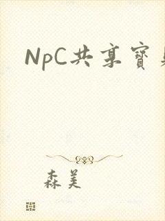 NpC共享宝贝