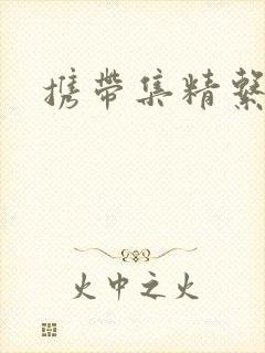 携带集精系统