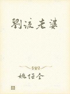 刘流老婆封面