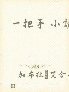 一把手 小说