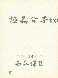 极品公子txt