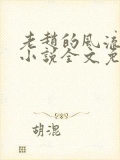 老赵的风流人生小说全文免费阅读封面