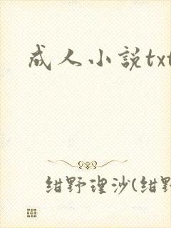 成人小说txt