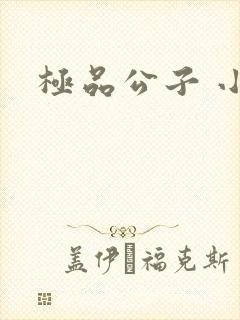 极品公子 小说