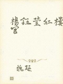 杨钰莹红楼醉高官封面