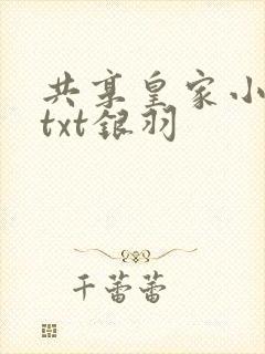 共享皇家小公主txt银羽封面