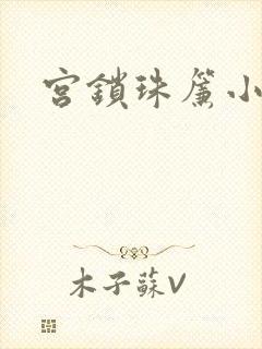 宫锁珠帘小说
