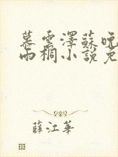 慕云泽苏晚晴夏雨桐小说免费阅读