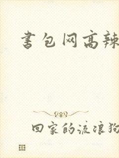书包网高辣文